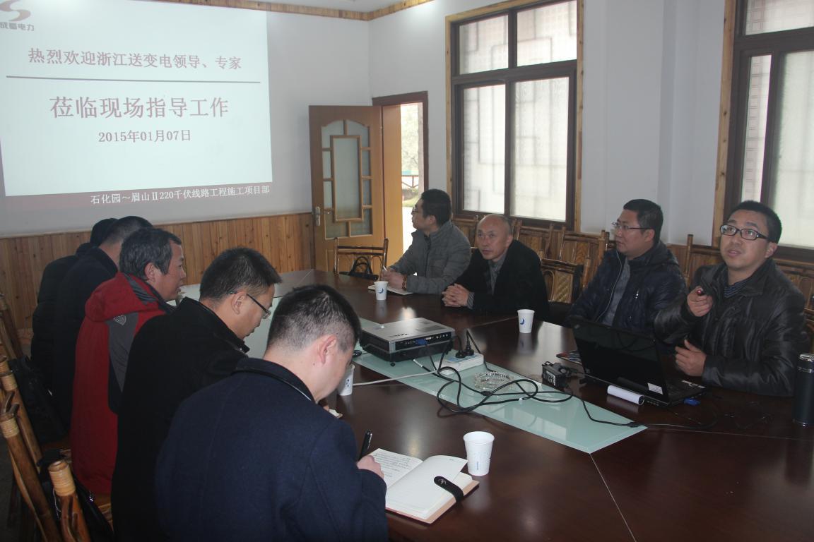 浙江送变电工程公司领导、专家莅临我 施工项目部参观考察