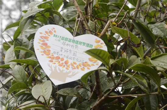 大地回春 植树造林 金年会电力集团积极参加园区植树活动