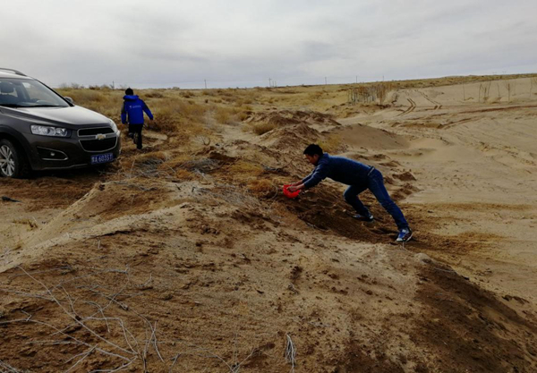 лԲɹŵ2018·ϸѲҵ