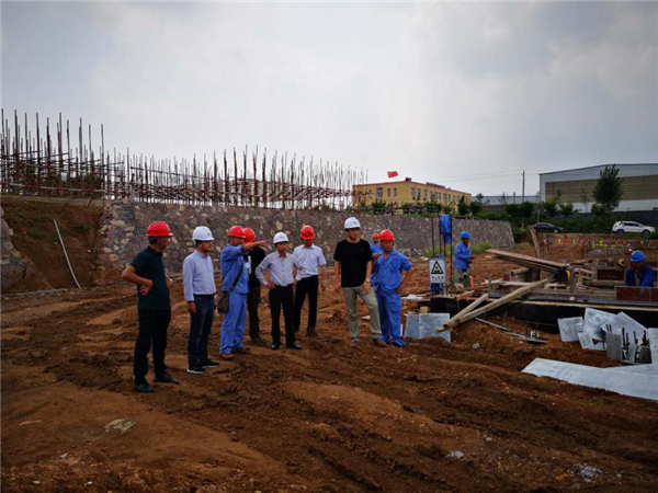 󻪶żһݰٽݷ糡 220kVѹվʩֳָ