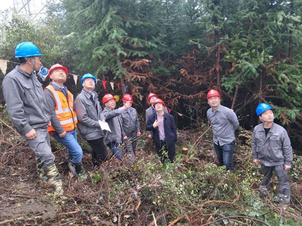 ޹˾ܾСһݰ500kVװһ߿ԽǨĹӲָ