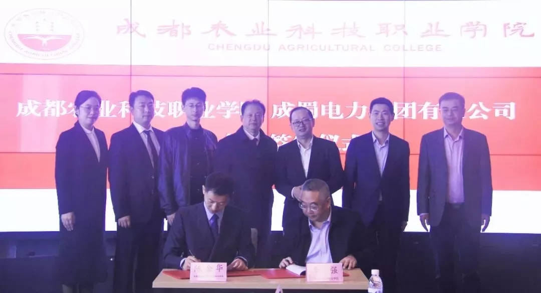 来自金年会电力集团的2019答卷