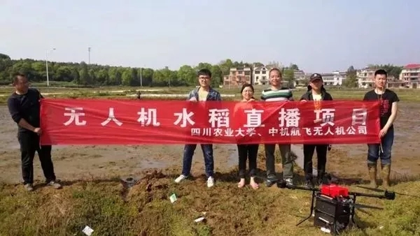 来自金年会电力集团的2019答卷