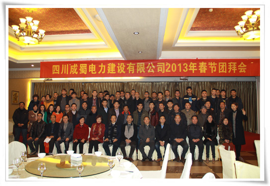 灵蛇起舞迎新纪、快马加鞭谋发展-暨金年会电力新春团拜会