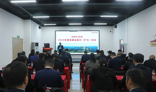 集团召开2025年度安委会首次(扩大)会议