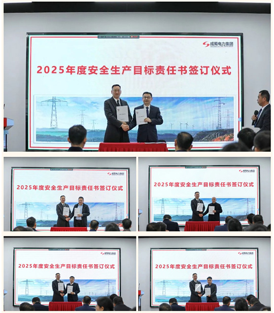 集团召开2025年度安委会首次(扩大)会议