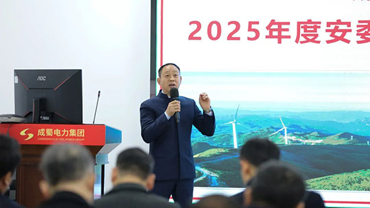 集团召开2025年度安委会首次(扩大)会议