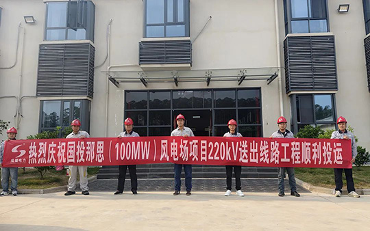 钦南那思(100MW)风电项目220kV送出线路EPC工程带电投运